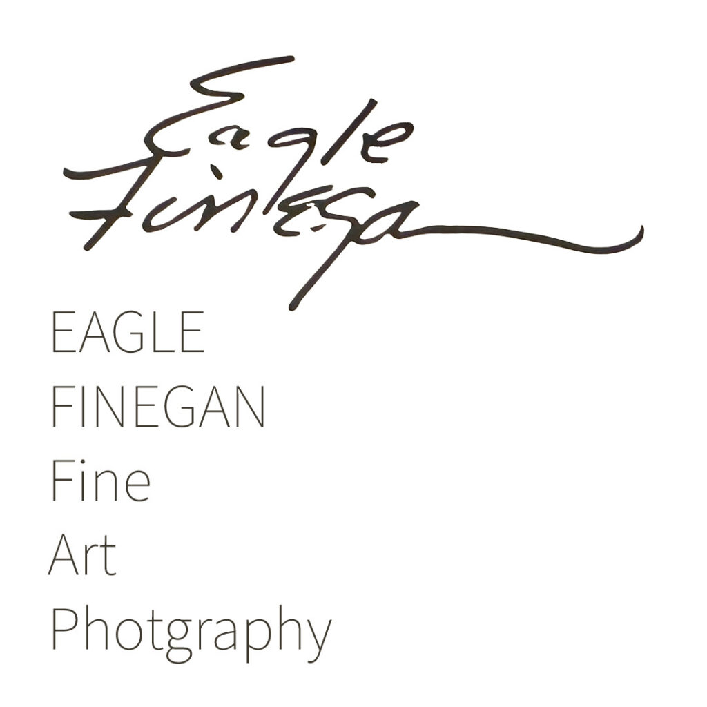 Eagle Finegan Fine Art